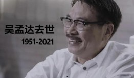 娱乐圈的吃瓜影帝免费,影帝免费吃瓜，揭秘幕后真相