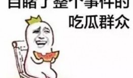 吃瓜群众在七零,吃瓜群众的欢乐时光
